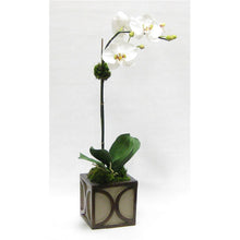 Load image into Gallery viewer, Wooden Mini Square Container w/ Half Circle - Patina Distressed w/ Antique Bronze - White &amp; Green Two Spike Orchid Artificial