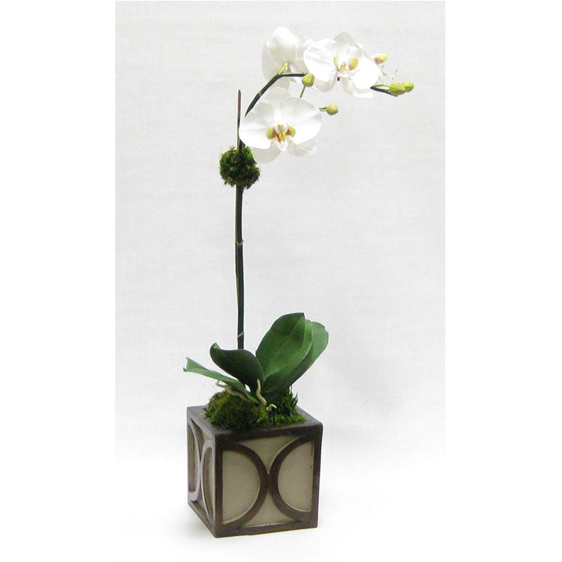 Wooden Mini Square Container w/ Half Circle - Patina Distressed w/ Antique Bronze - White & Green Two Spike Orchid Artificial