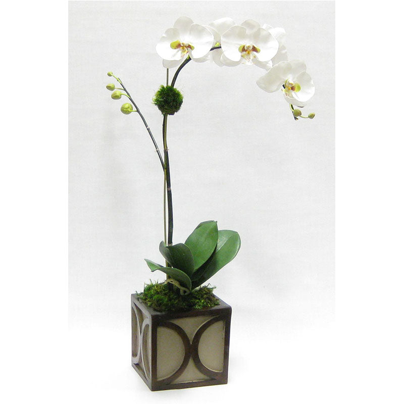 Wooden Mini Square Container w/ Half Circle - Patina Distressed w/ Antique Bronze - White & Green Orchid Artificial