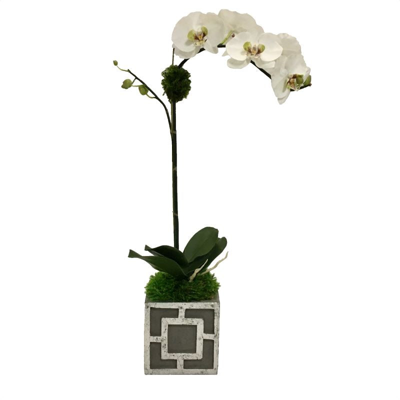 Wooden Mini Square Container w/ Square - Dark Grey w/ Antique Silver - Orchid White/Green Artificial
