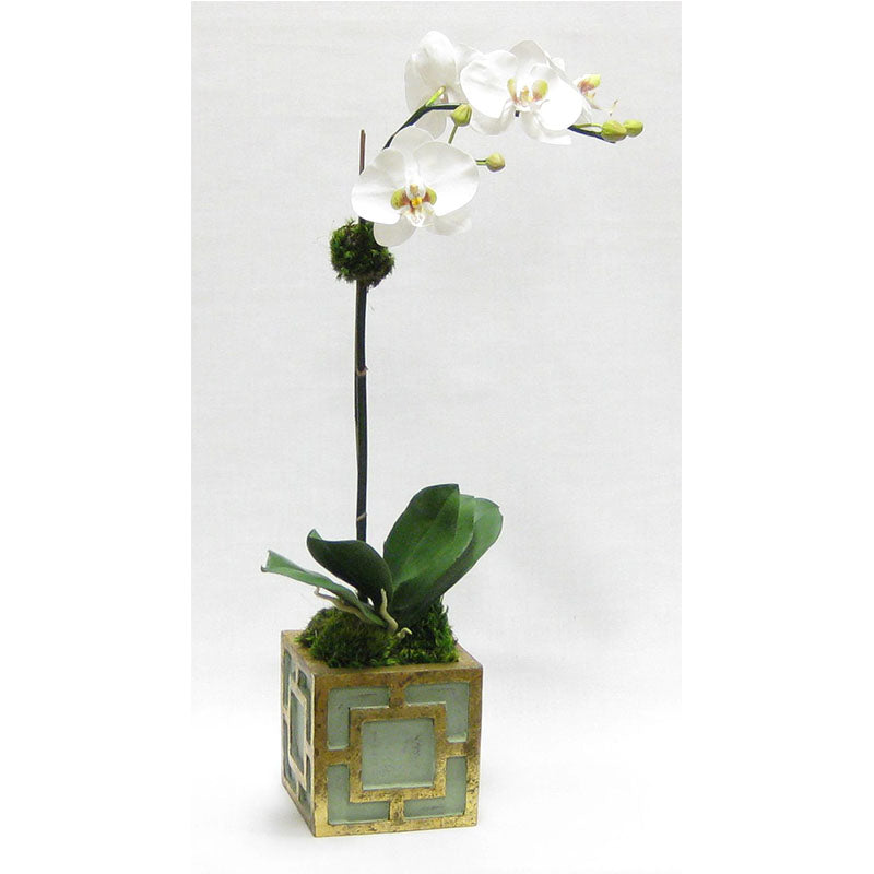 Wooden Mini Square Container w/ Square Green & Antique Gold - White & Green Two Spike Orchid Artificial