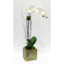 Load image into Gallery viewer, Wooden Mini Square Container w/ Square Green &amp; Antique Gold - White &amp; Yellow Orchid Artificial
