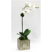 Load image into Gallery viewer, Wooden Mini Square Container w/ Square  Grey &amp; Antique Silver - White &amp; Green Two Spike Orchid Artificial