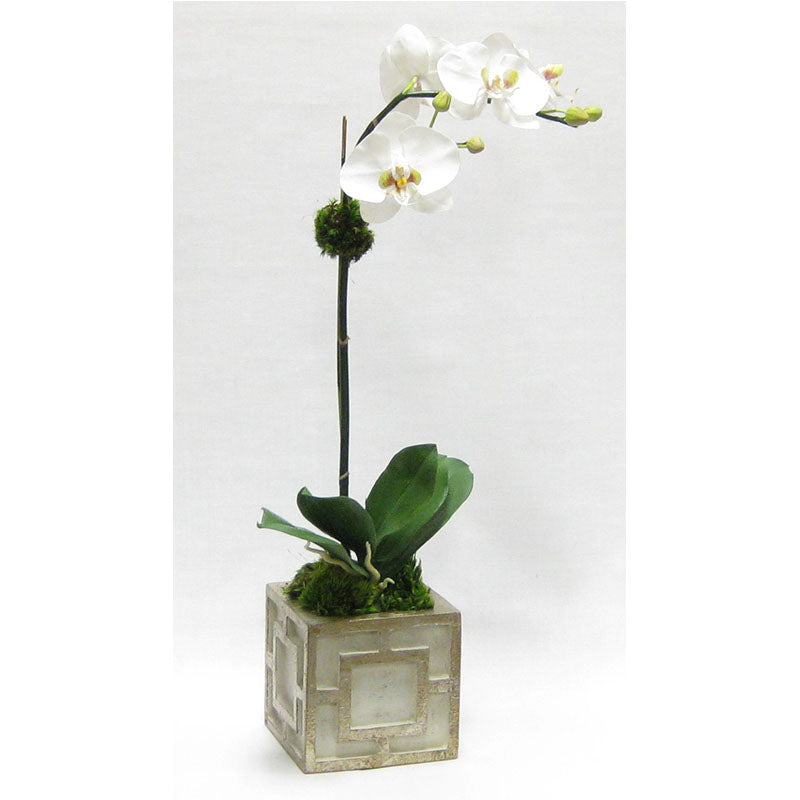 Wooden Mini Square Container w/ Square  Grey & Antique Silver - White & Green Two Spike Orchid Artificial