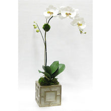 Load image into Gallery viewer, Wooden Mini Square Container w/ Square  Grey &amp; Antique Silver - White &amp; Green Orchid Artificial

