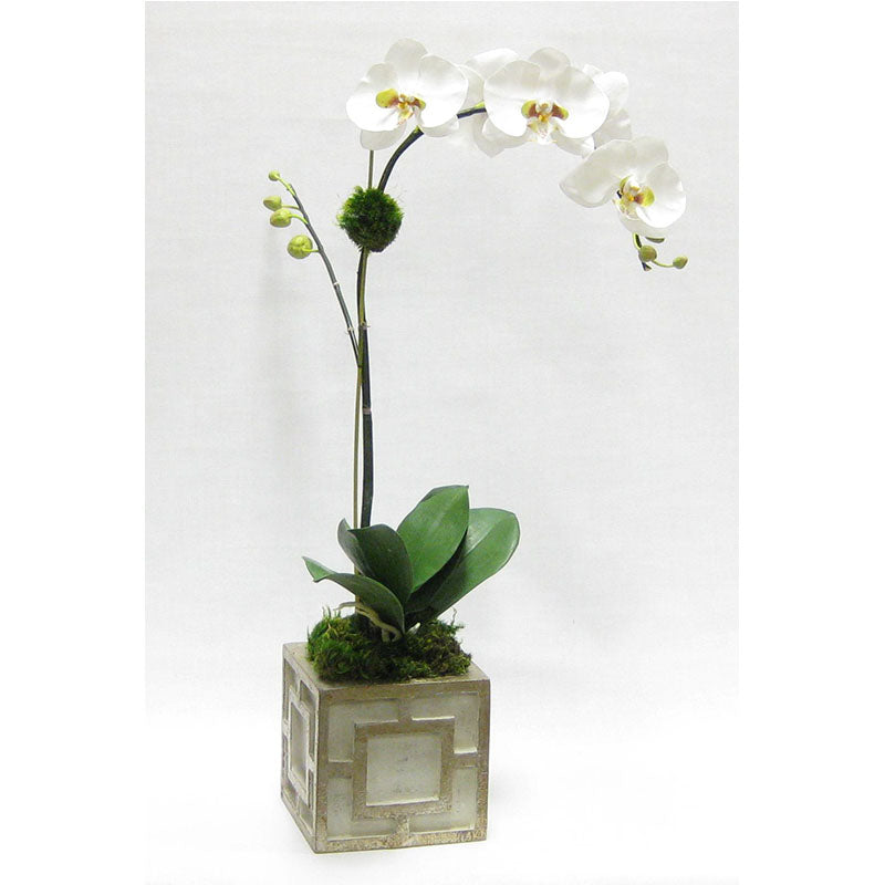 Wooden Mini Square Container w/ Square  Grey & Antique Silver - White & Green Orchid Artificial