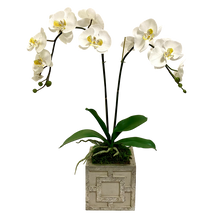 Load image into Gallery viewer, Wooden Mini Square Container w/ Square  Grey &amp; Antique Silver - White &amp; Yellow Double Orchid Artificial
