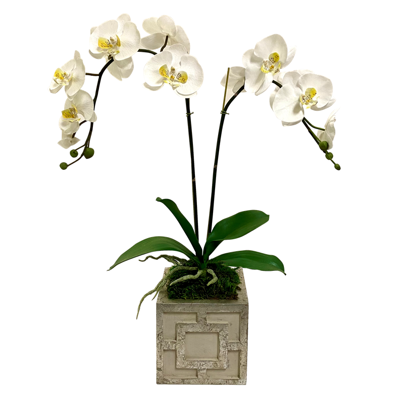 Wooden Mini Square Container w/ Square  Grey & Antique Silver - White & Yellow Double Orchid Artificial