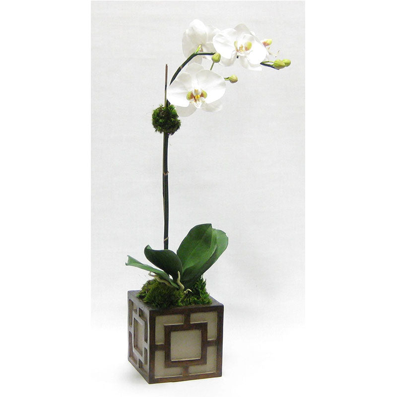 Wooden Mini Square Container w/ Square - Patina Distressed w/ Antique Bronze - White & Green Two Spike Orchid Artificial