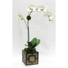 Load image into Gallery viewer, Wooden Mini Square Container w/ Square - Patina Distressed w/ Antique Bronze - White &amp; Green Orchid Artificial