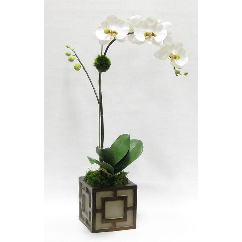 Wooden Mini Square Container w/ Square - Patina Distressed w/ Antique Bronze - White & Green Orchid Artificial