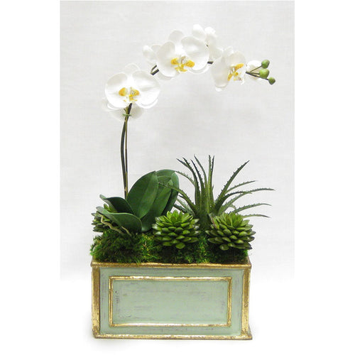 Wooden Rect Container Gray/Green  - White & Yellow Orchid w/Succulents