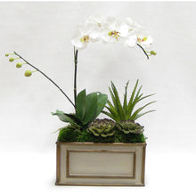 Load image into Gallery viewer, Wooden Rect Container Patina Distressed w/Bronze - White &amp; Green Orchid w/Succulents