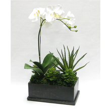 Load image into Gallery viewer, [WRPE-BA-ORYESUG] Wooden Rect Container Black Antique - Orchid White &amp; Yellow w/Succulents Artificial