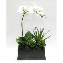 Load image into Gallery viewer, Wooden Rect Container Black Antique - Orchid White &amp; Yellow w/Succulents Artificial