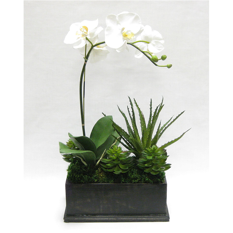 Wooden Rect Container Black Antique - Orchid White & Yellow w/Succulents Artificial