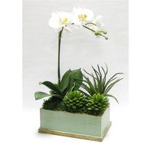 Load image into Gallery viewer, [WRPE-GG-ORYESUB] Wooden Rect Container Green w/ Gold Antique - Orchid White &amp; Yellow w/Succulents Artificial