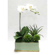 Load image into Gallery viewer, Wooden Rect Container Green w/ Gold Antique - Orchid White &amp; Yellow w/Succulents Artificial