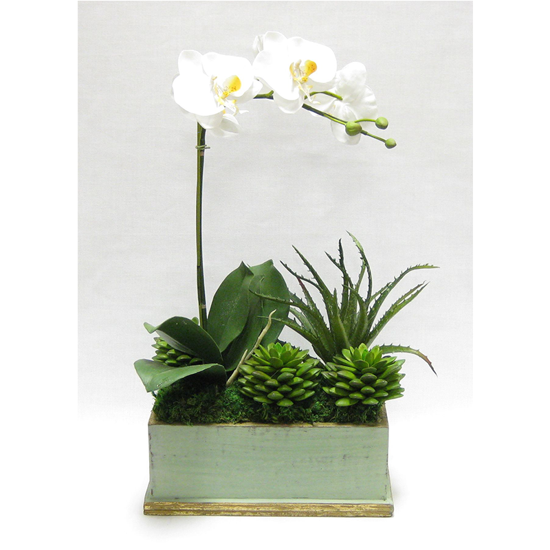 Wooden Rect Container Green w/ Gold Antique - Orchid White & Yellow w/Succulents Artificial