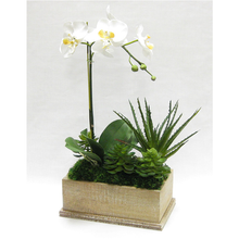 Load image into Gallery viewer, [WRPE-WA-ORYESUG] Wooden Rect Container Weathered Antique - Orchid White &amp; Yellow w/Succulents Artificial
