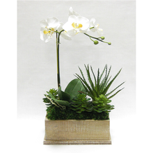 Load image into Gallery viewer, Wooden Rect Container Weathered Antique - Orchid White &amp; Yellow w/Succulents Artificial
