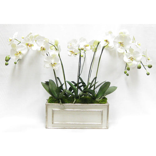 Wooden Medium Rect Container Grey Silver - White & Green Orchid Artificial