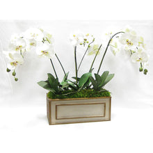 Load image into Gallery viewer, [WRPM-PD-ORGR] Wooden Medium Rect Container Patina Distressed w/Bronze - White &amp; Green Orchid Artificial..
