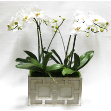 Load image into Gallery viewer, Wooden Rect Container w/ Square  Grey &amp; Antique Silver - White &amp; Green Orchid Artificial
