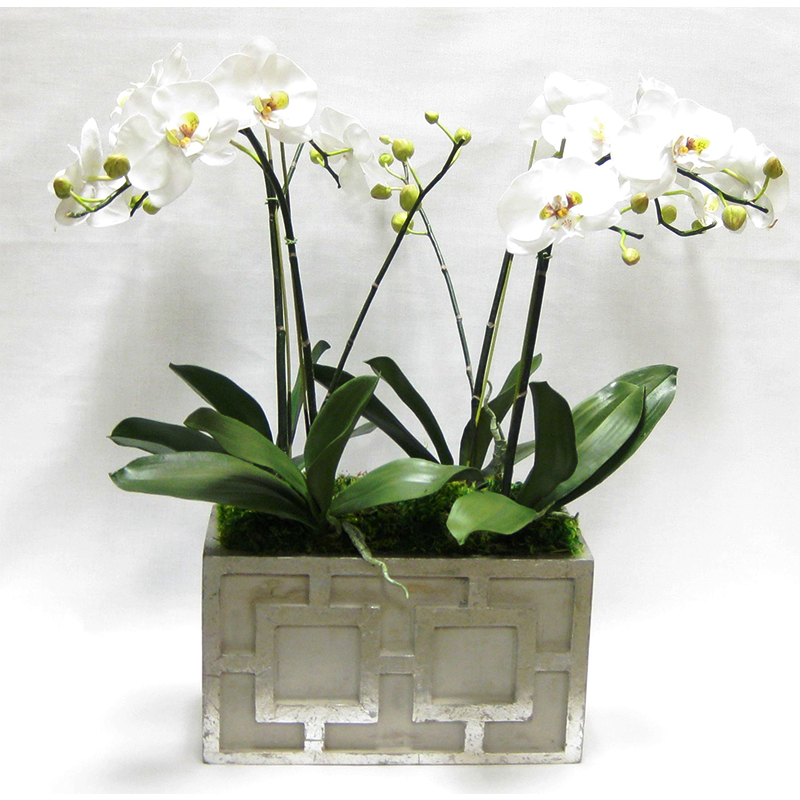Wooden Rect Container w/ Square  Grey & Antique Silver - White & Green Orchid Artificial