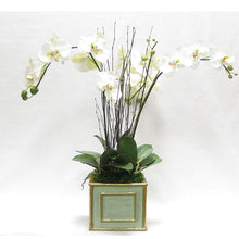 Load image into Gallery viewer, Wooden Square Container Grey Green - White &amp; Green Orchid Artificial