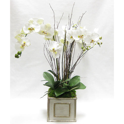 Wooden Square Container Grey Silver - White & Green Orchid Artificial