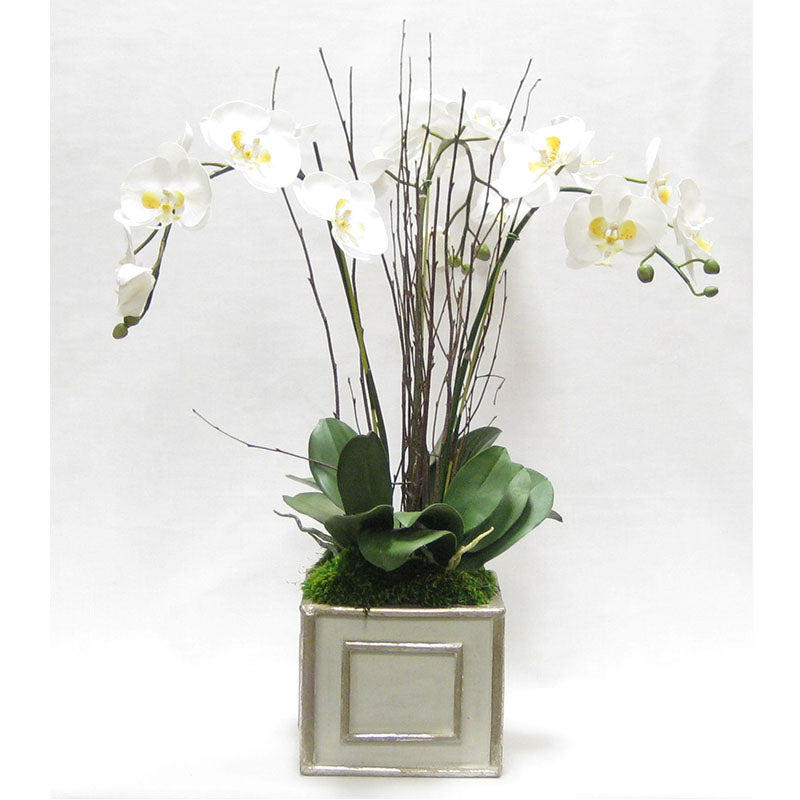 Wooden Square Container Grey Silver - White & Yellow Orchid Artificial