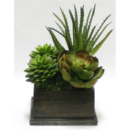 Wooden Square Container Black Antique - Succulents Green & Burgundy Artificial