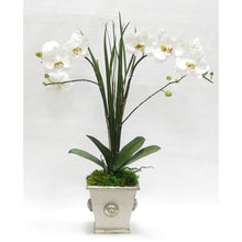 Load image into Gallery viewer, Wooden Square Container w/ Medallion Grey Silver - Double White &amp; Green Orchid Artificial w/ Palm