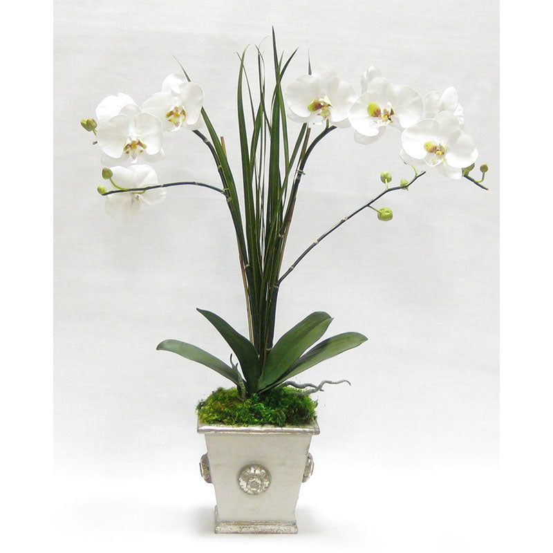 Wooden Square Container w/ Medallion Grey Silver - Double White & Green Orchid Artificial w/ Palm