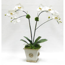 Load image into Gallery viewer, Wooden Square Container w/ Medallion Grey Silver - Double White &amp; Green Orchid Artificial