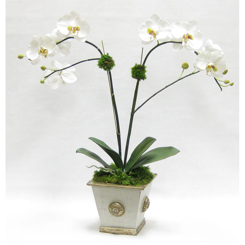 Wooden Square Container w/ Medallion Grey Silver - Double White & Green Orchid Artificial