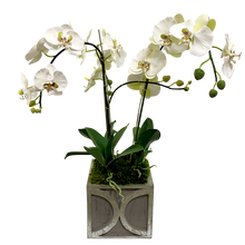 Load image into Gallery viewer, Wooden Square Container w/ Half Circle Dark Grey w/ Silver - Artificial Orchids White &amp; Green
