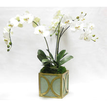 Load image into Gallery viewer, [WSPO-GG-ORGR] Wooden Square Container w/ Half Circle - Green w/ Antique Gold - White &amp; Green Orchid Artificial
