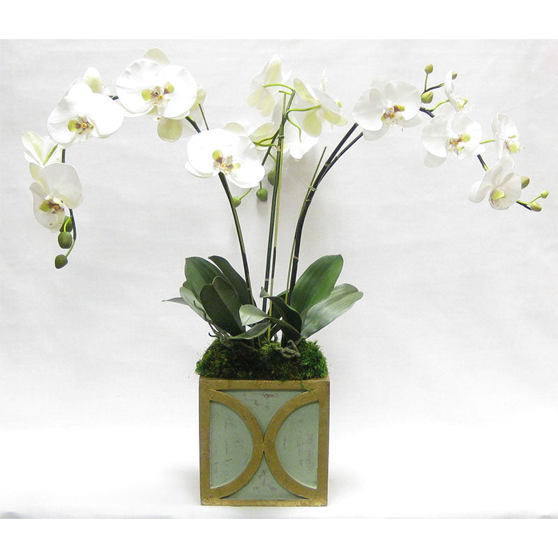 Wooden Square Container w/ Half Circle - Green w/ Antique Gold - White & Green Orchid Artificial