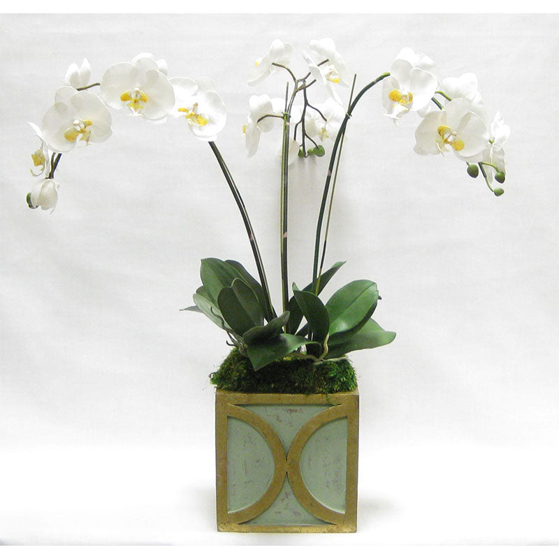 Wooden Square Container w/ Half Circle - Green w/ Antique Gold - White & Yellow Orchid Artificial