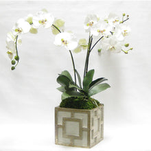 Load image into Gallery viewer, [WSPQ-GS-ORGR] Wooden Square Container w/ Square - Green w/ Antique Gold - White &amp; Green Orchid Artificial