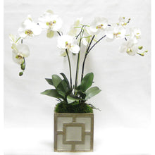 Load image into Gallery viewer, Wooden Square Container w/ Square - Green w/ Antique Gold - White &amp; Green Orchid Artificial
