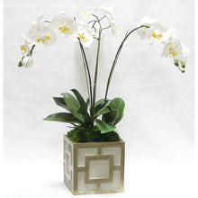 Load image into Gallery viewer, [WSPQ-GS-ORYE] Wooden Square Container w/ Square - Green w/ Antique Gold - White &amp; Yellow Orchid Artificial