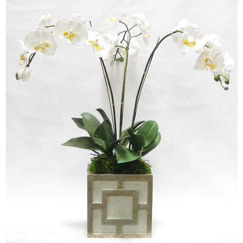 Wooden Square Container w/ Square - Green w/ Antique Gold - White & Yellow Orchid Artificial