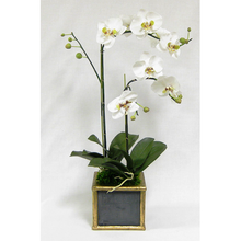Load image into Gallery viewer, Wooden Square Container Dark Blue Gray Gold - Double Orchid White &amp; Green
