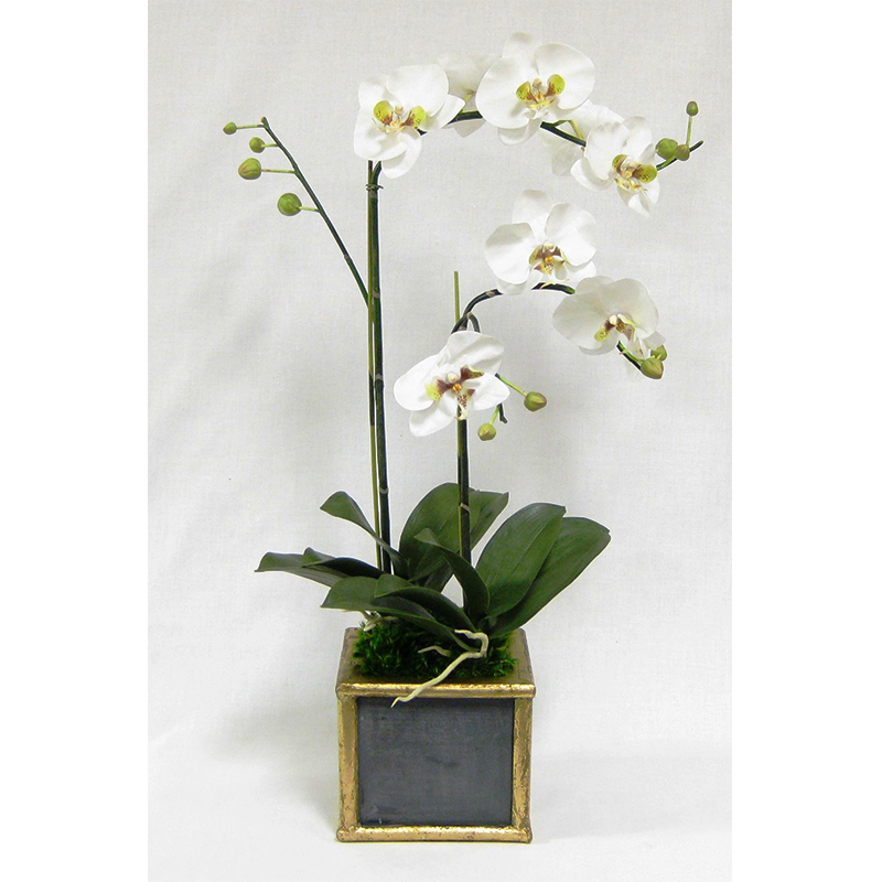 Wooden Square Container Dark Blue Gray Gold - Double Orchid White & Green