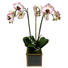 Load image into Gallery viewer, Wooden Square Container Dark Blue Gray Gold - Purple White Orchid Artificial 3 Stems

