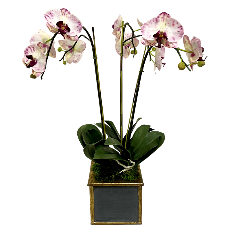 Wooden Square Container Dark Blue Gray Gold - Purple White Orchid Artificial 3 Stems