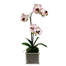 Load image into Gallery viewer, Wooden Square Container Dark Blue Gray Silver - Double Artificial Orchid White &amp; Purple
